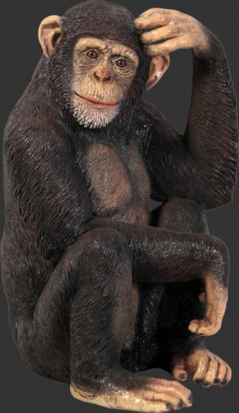 In & Out Deco Aap Chimpansee hoog 69 cm decoratie