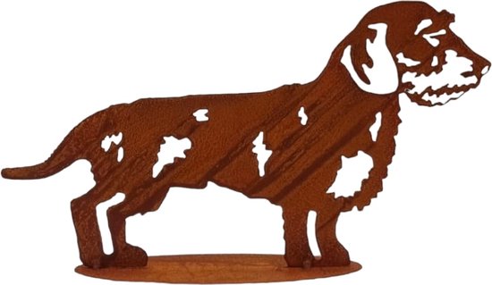 Dream- Garden Boef le Teckel poil dur 21x37 cm