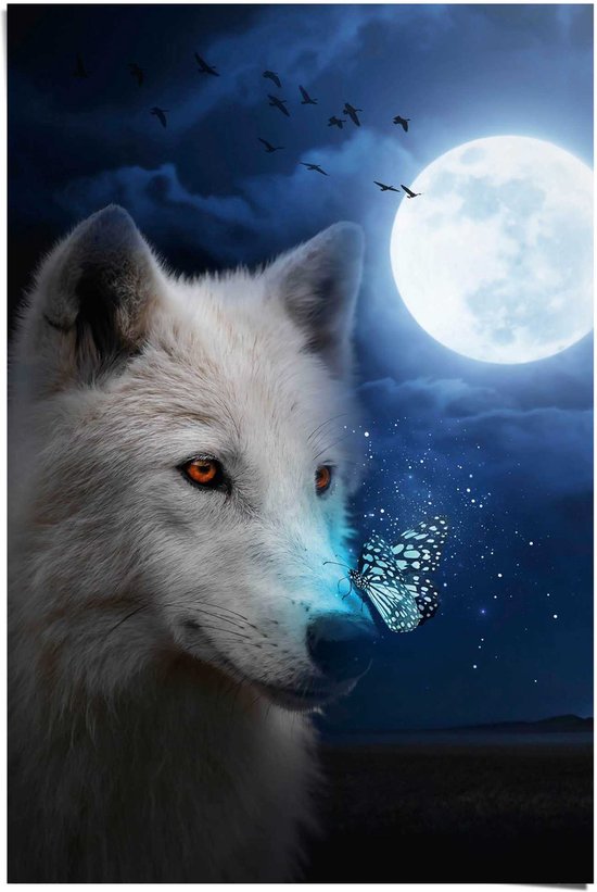 Poster Dieren Witte Wolf