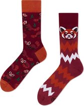 De nombreuses chaussettes de matins | Panda rouge