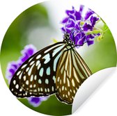 WallCircle - Muurstickers - Behangcirkel - Lavendel - Vlinder - Botanisch - 30x30 cm - Muurcirkel - Zelfklevend - Ronde Behangsticker
