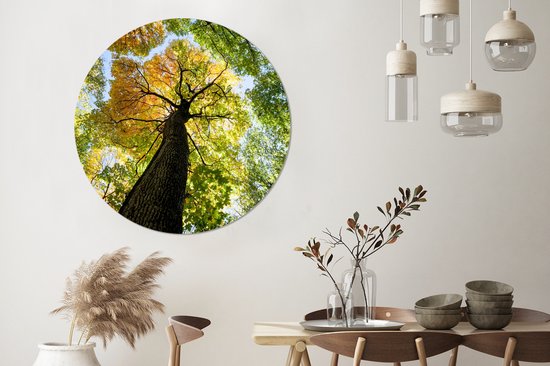 WallCircle - Muurstickers - Behangcirkel - Boom - Natuur - Bos - 120x120 cm - Muurcirkel - Zelfklevend - Ronde Behangsticker XXL