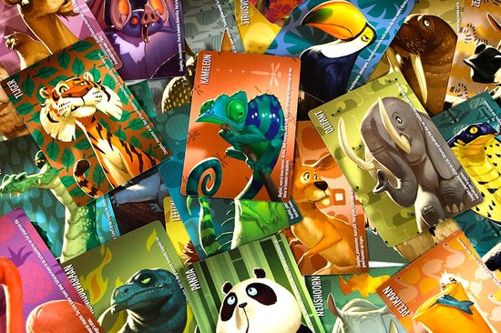 999 Games - Similo: Wilde Dieren - Kaartspel - Coöperatief kaartspel - Klein cadeautje