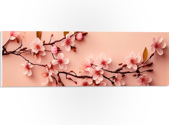 PVC Schuimplaat- Roze Kersenbloesem Tak op Koraalkleurige Achtergrond - 60x20 cm Foto op PVC Schuimplaat