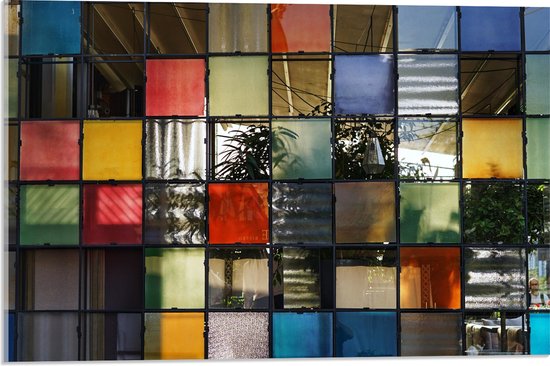 Acrylglas - Muur - Wand - Kleuren - Planten - Vakken - Vierkant - 60x40 cm Foto op Acrylglas (Met Ophangsysteem)