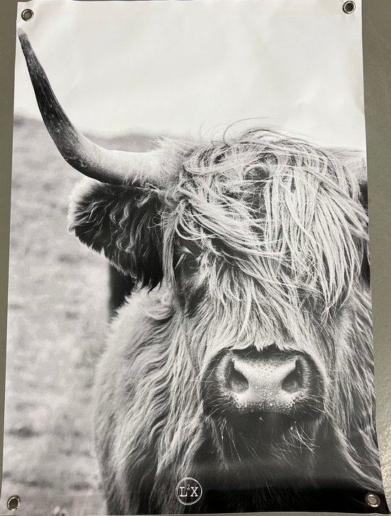 Tuinposter cow A2