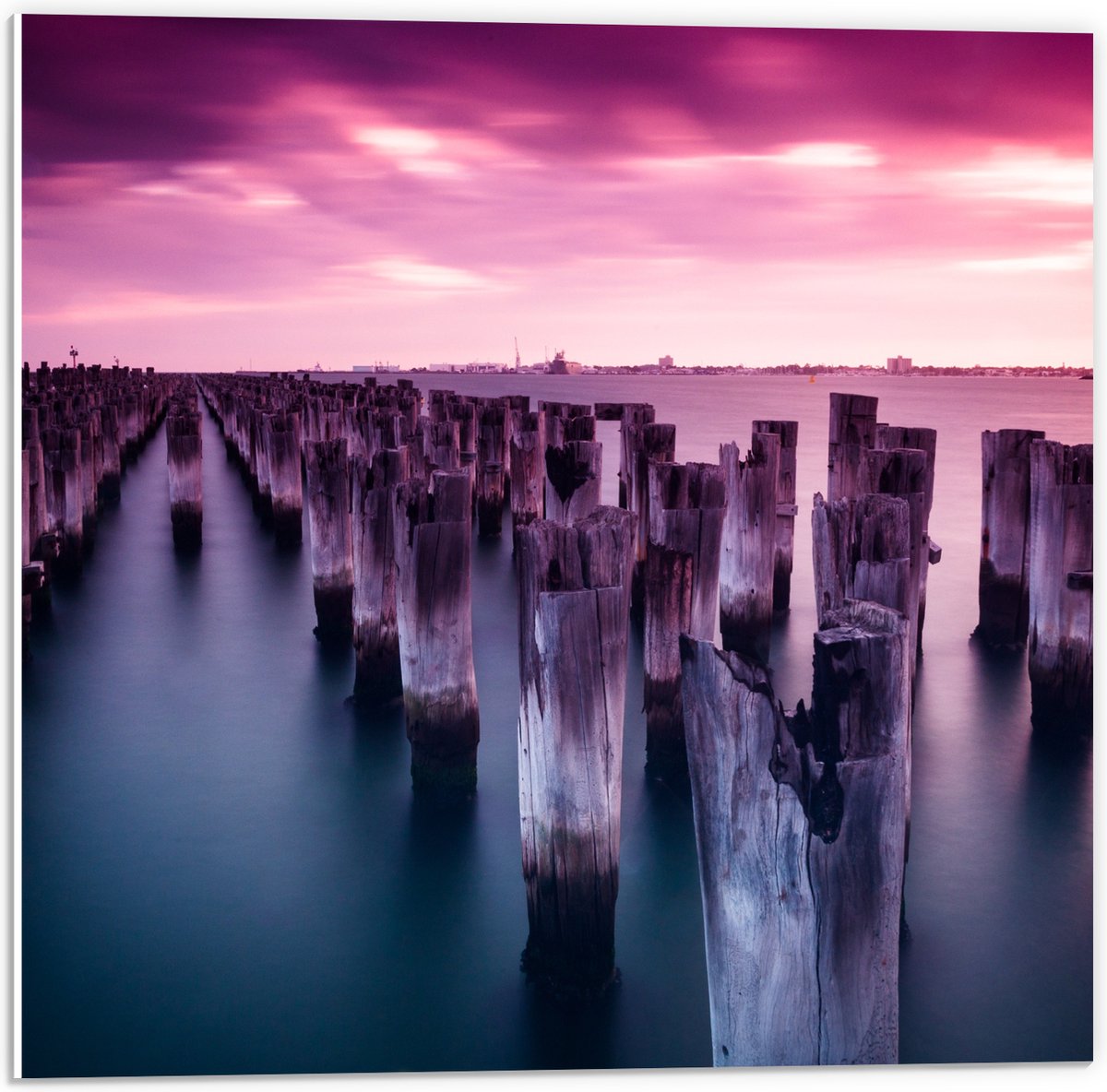 PVC Schuimplaat- Palen - Water - Hout - Zee - Kleuren - 50x50 cm Foto op PVC Schuimplaat