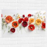 Muursticker - Rij van Planten en Bloemen in Verschillende Kleuren en Soorten op Wit Oppervlak - 90x60 cm Foto op Muursticker