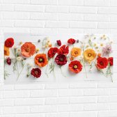 Muursticker - Rij van Planten en Bloemen in Verschillende Kleuren en Soorten op Wit Oppervlak - 100x50 cm Foto op Muursticker