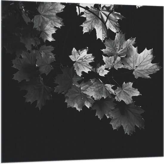 Vlag - Boom - Takken - Bladeren - Zwart - Wit - 100x100 cm Foto op Polyester Vlag
