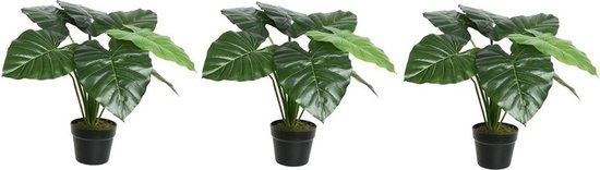 3x Groene Colocasia/taro kunstplant 52 cm in zwarte pot - Kunstplanten/nepplanten - Kantoorplanten