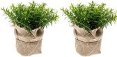 2x Kunstplant tijm kruiden groen in pot 16 cm - nepplanten / kunstplanten