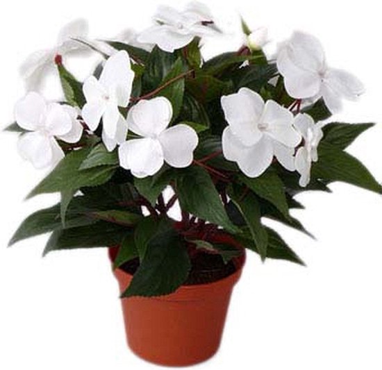 3x stuks Kunstplanten wit Vlijtig Liesje in pot van 25 cm