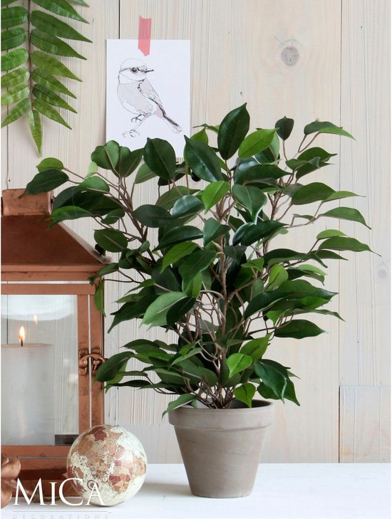Een groene Ficus Natsja kunstplant in een grijze pot, naast een lantaarn en een wereldbol.