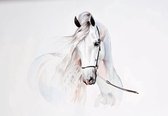 Fotobehang - Vlies Behang - Wit Paard - Kunst - 312 x 219 cm
