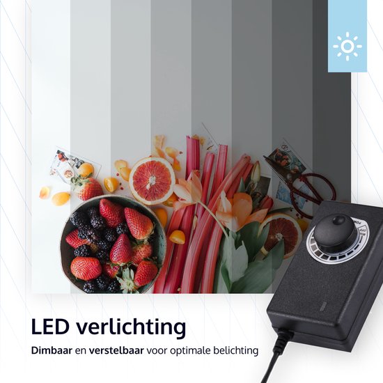 Professionele Fotostudio Box inclusief Tripod - LED verlichting - Lightbox Fotografie - Fotobox - Productfotografie Foto Studio - 40 x 40 x 40 cm - 6 Achtergronden - BeVida