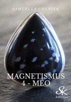 Magnetismus 4 - Magnetismus 4