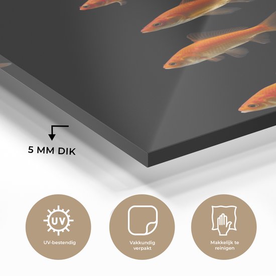 MuchoWow® Peinture sur Verre - Poisson Rouge - Animaux - Zwart - 80x120 cm - Peintures sur Verre Acrylique - Photo sur Glas