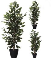Artificial Plants- kunstplant- Ficus- 95 cm