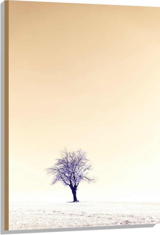 Houten paneel met een foto van een eenzame boom tegen een oranje lucht, 70x105 cm, 9 mm dik.