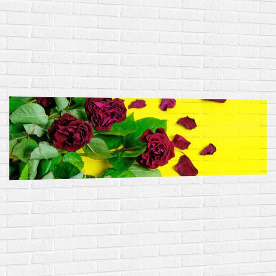 Muursticker - Rode Rozen met Gele Achtergrond - 150x50 cm Foto op Muursticker