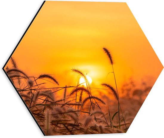 Dibond Hexagon - Zonsondergang door Hoge Grassprieten - 30x26.1 cm Foto op Hexagon (Met Ophangsysteem)
