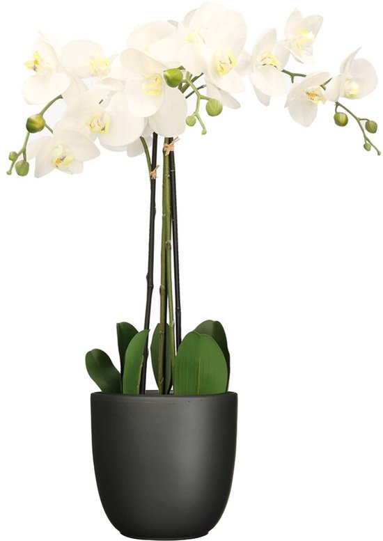 Plante d'orchidée artificielle blanche - 75 cm - avec pot de fleur noir mat - Fleurs artificielles en pot