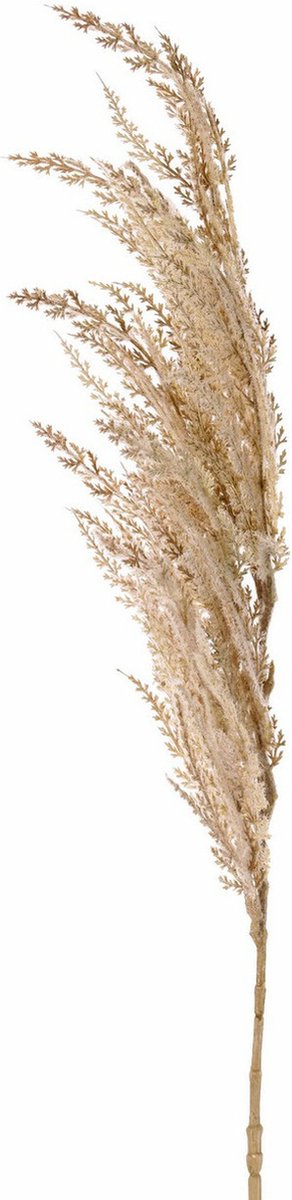 TopArt Pampasgras pluim losse steel/tak - creme wit - 100 cm - Decoratie kunst bloemen/graspluimen