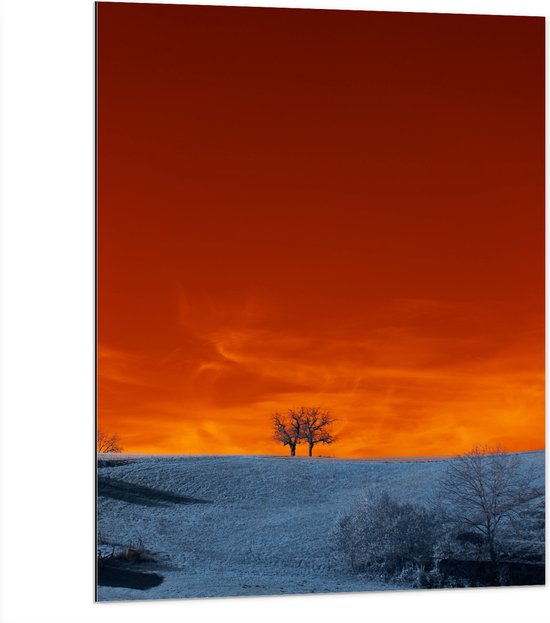 Dibond - Bomen - Landschap - Sneeuw - Oranje - Lucht - 75x100 cm Foto op Aluminium (Met Ophangsysteem)