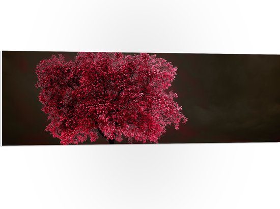 PVC Schuimplaat- Boom - Landschap - Roze - Bladeren - 120x40 cm Foto op PVC Schuimplaat