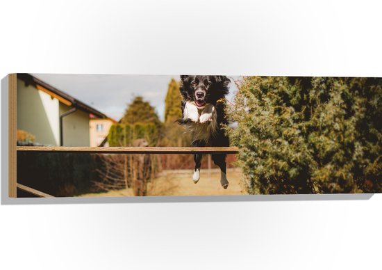 Hout - Dieren - Hond - Tuin - Planten - Springen - 90x30 cm - 9 mm dik - Foto op Hout (Met Ophangsysteem)