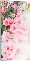 Tuinposter – Boom - Bloesem - Bloemen - Roze - 50x100 cm Foto op Tuinposter (wanddecoratie voor buiten en binnen)