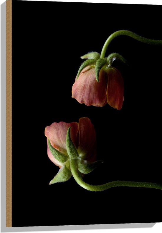 Hout - Bloemen - Roze - Bladeren - Natuur - 50x75 cm - 9 mm dik - Foto op Hout (Met Ophangsysteem)