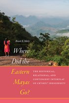 IMS Culture and Society - Where Did the Eastern Mayas Go?