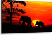 Canvas - Silhouet van Olifant met Jong Lopend door het Landschap - 120x80 cm Foto op Canvas Schilderij (Wanddecoratie op Canvas)