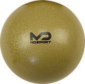 MDsport - Stootkogel - Gietijzer - 5,5 kg