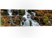 PVC Schuimplaat - Rivier Stromend vanaf Bergen Bedolven onder Herfstbladeren - 120x40 cm Foto op PVC Schuimplaat (Met Ophangsysteem)