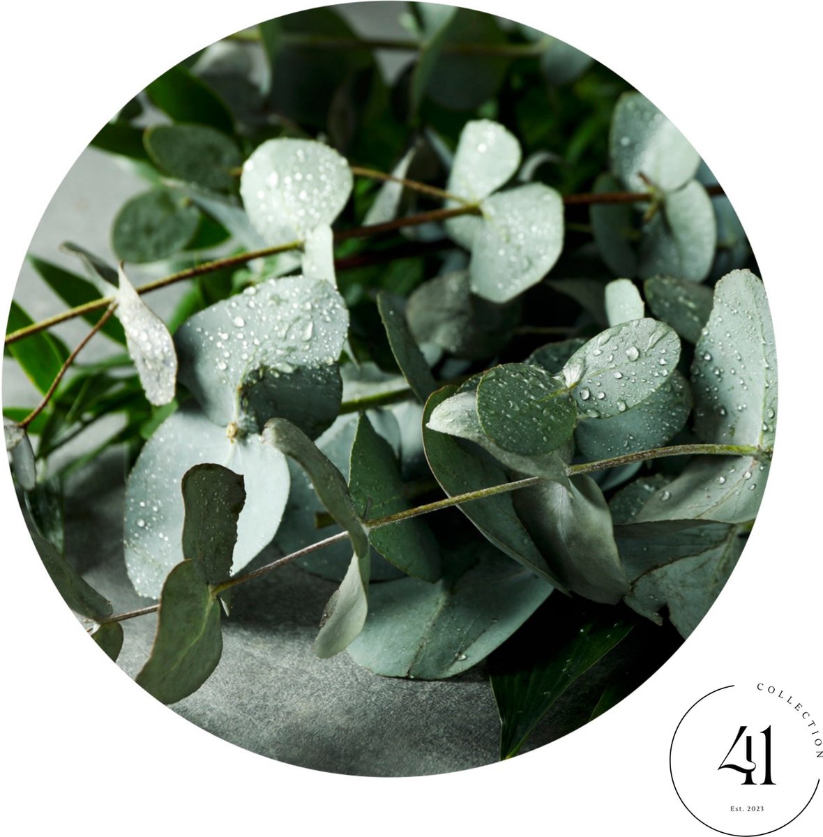 Collection41 - Bedrukte ronde placemat - Eucalyptus print - Groen - 6 Stuks
