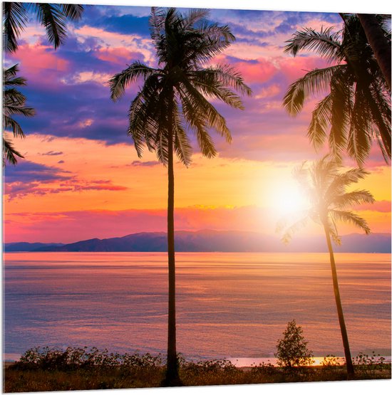 Acrylglas - Zonsondergang in de Zee bij Hoge Palmbomen - 100x100 cm Foto op Acrylglas (Met Ophangsysteem)