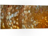 PVC Schuimplaat- Close-up van Bolvormige Gouden Ballen - 100x50 cm Foto op PVC Schuimplaat