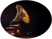Dibond Ovaal - Antieke Grammofoon - 80x60 cm Foto op Ovaal (Met Ophangsysteem)
