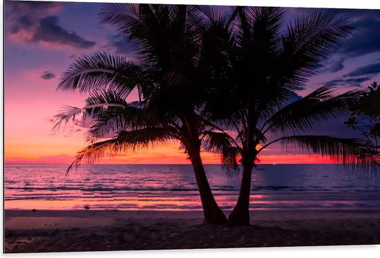 Dibond - Twee Palmbomen op het Strand langs de Zee bij Zonsondergang - 105x70 cm Foto op Aluminium (Met Ophangsysteem)