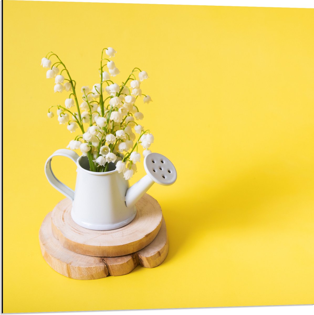 Dibond - Boeket in Gieter met Gele Achtergrond - 80x80 cm Foto op Aluminium (Met Ophangsys