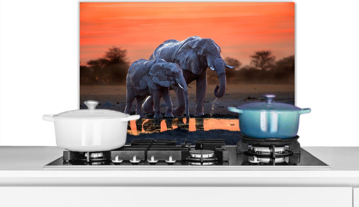 Spatscherm keuken 70x50 cm - Kookplaat achterwand Olifant - Dieren - Zonsondergang - Water - Oranje - Muurbeschermer - Spatwand fornuis - Hoogwaardig aluminium