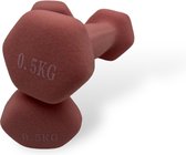 Padisport - Dumbells 0.5 kg - halter - gewichten set halters - gewichten 0.5 kg - roze - Gewichten - dumbells - halters - gewichtjes 0.5 kg