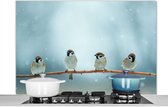 Spatscherm keuken 120x80 cm - Kookplaat achterwand Vogels - Mus - Sneeuw - Winter - Muurbeschermer - Spatwand fornuis - Hoogwaardig aluminium