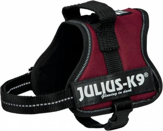 Slank Mondstuk kofferbak Julius k9 power-harnas voor hond / tuig voor voor labels bordeaux  mini/51-67 cm | bol.com