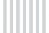 Stripes Pattern  Photo Wallcovering