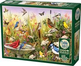 Cobble Hill puzzle 1000 pièces séparées amis à plumes oiseaux