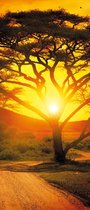 Sunset Africa Nature Tree Photo Wallcovering